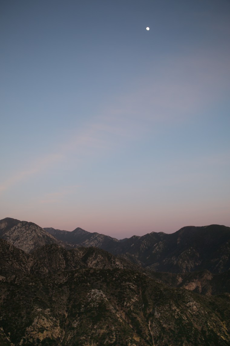 Wild Pieces, Photo of the Day, Courtney Colantonio-Ray